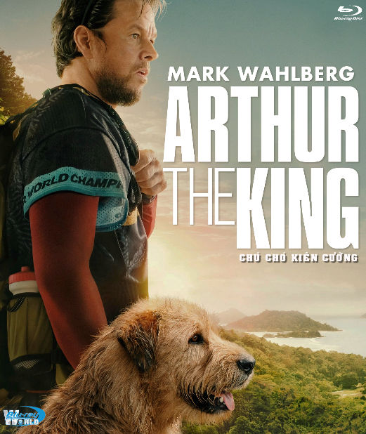 B6204.Arthur the King 2024  CHÚ CHÓ KIÊN CƯỜNG  2D25G  ((TRUE- HD 7.1 DOLBY ATMOS)